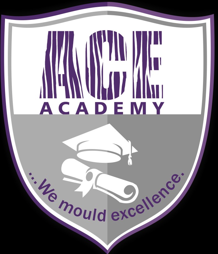 ACE Academy Logo